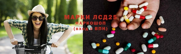трава Аркадак