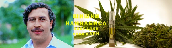 тгк Арсеньев