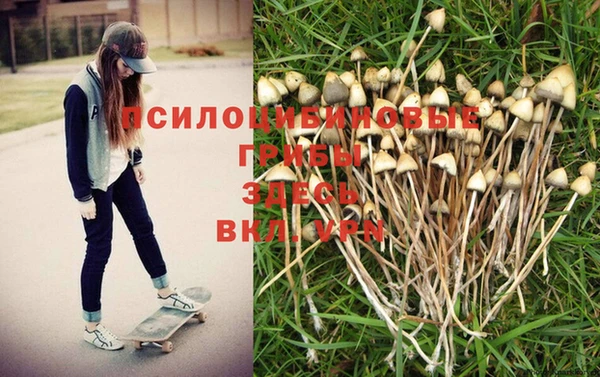 трава Аркадак