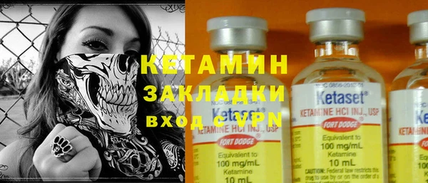 трава Аркадак