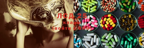 трава Аркадак